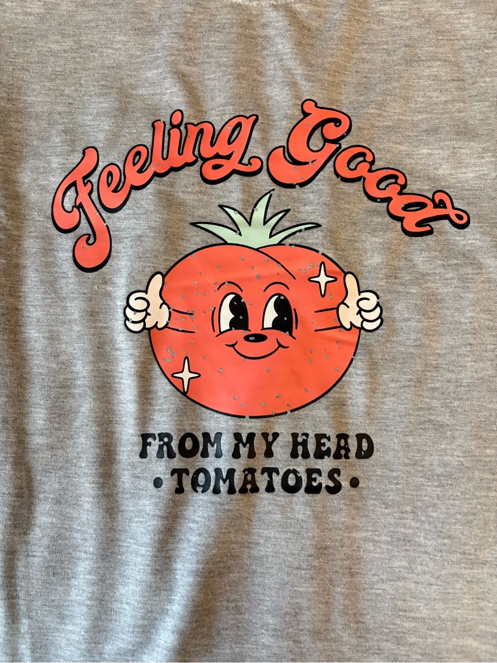 Feeling Good Tomato Graphic Crewneck Long-sleeve Pullover in Gray NIP Plus Size